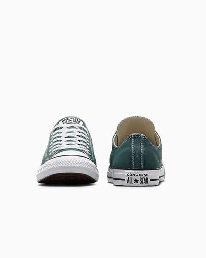Converse Chuck Taylor All Star Low Top - True Nature