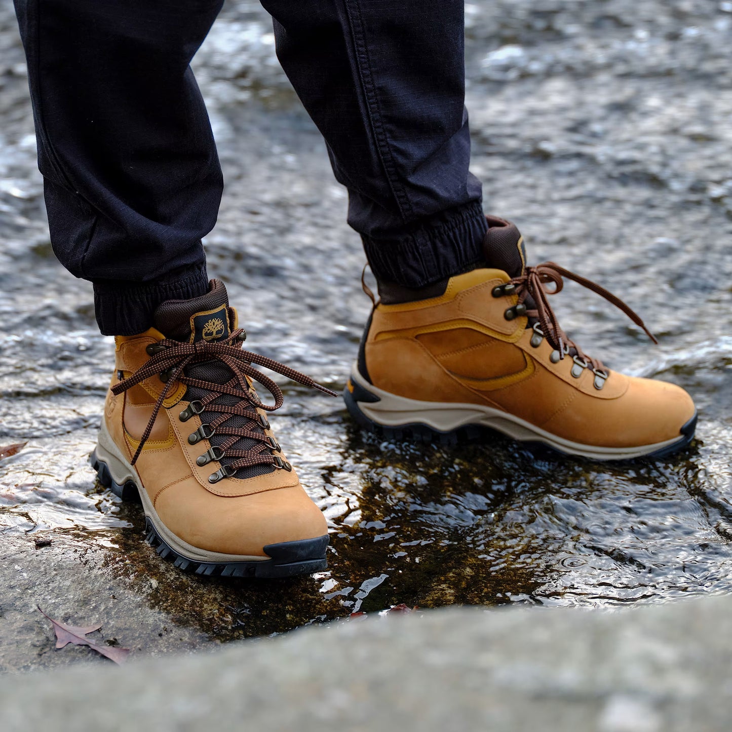 Men's Timberland Mt. Maddsen Waterproof Hiking Boot - Wheat Nubuck