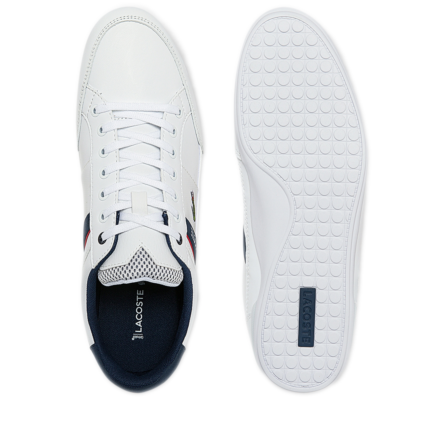 Men's Lacoste Chaymon - White/Navy/Red