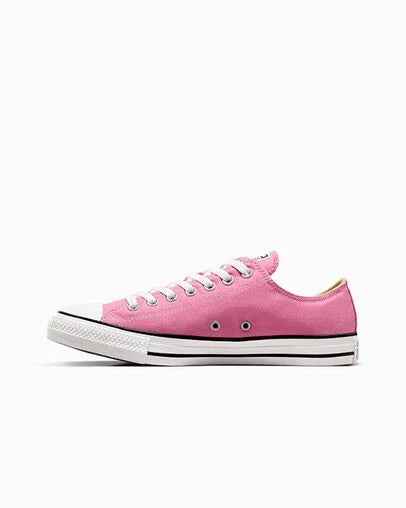 Converse Chuck Taylor All Star Canvas Low Top - Pink