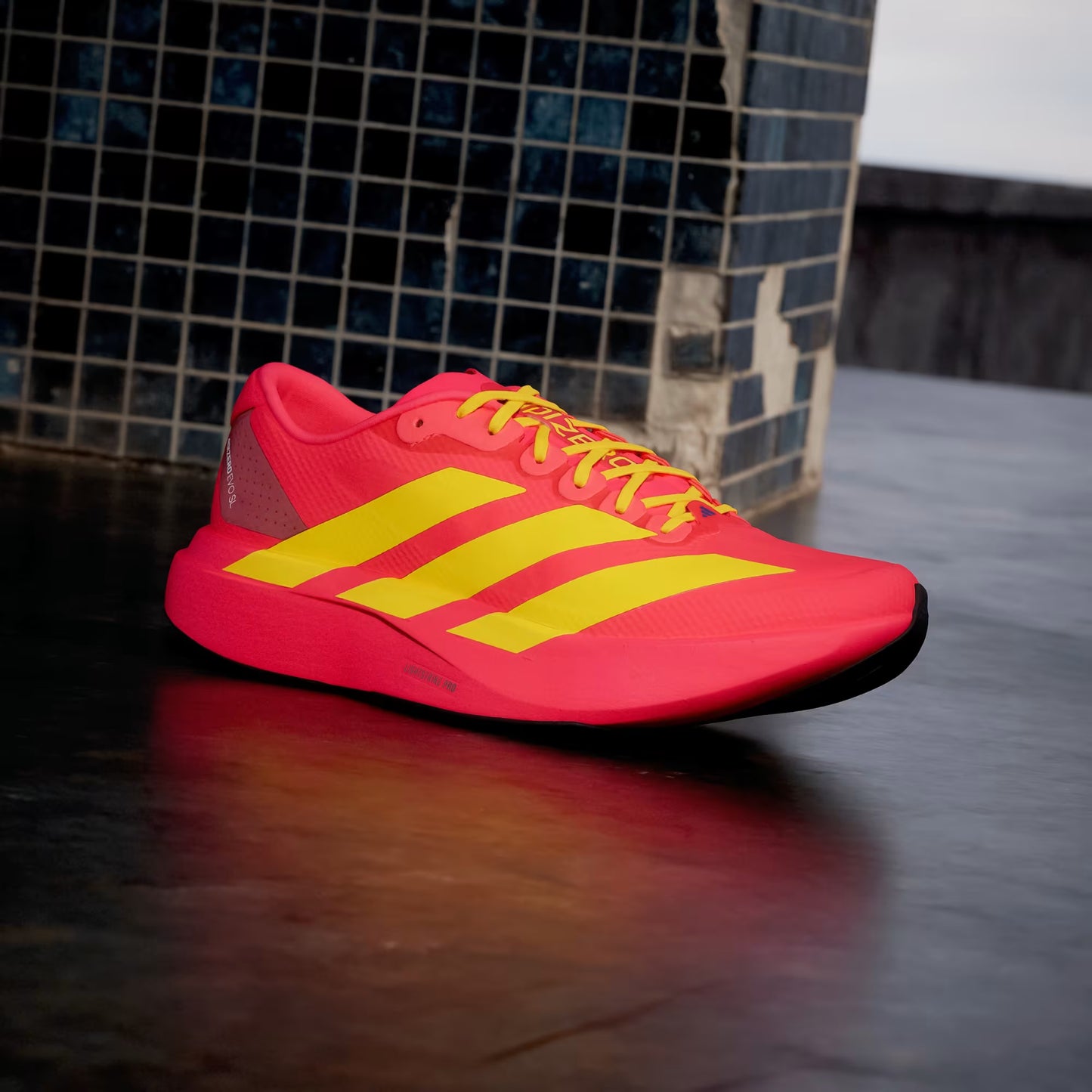 Men's Adidas Adizero Evo SL Woven - Lucid Red/Bold Gold/Semi Lucid Blue