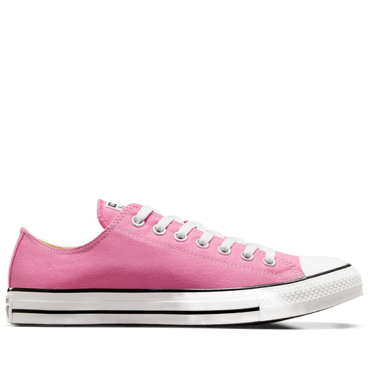 Converse Chuck Taylor All Star Canvas Low Top - Pink