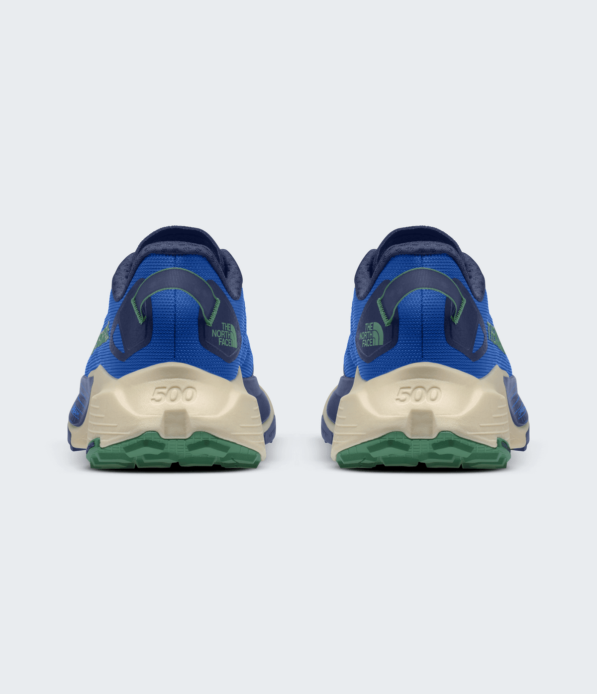 Men's The North Face Altamesa 500 V2 - Blue/White