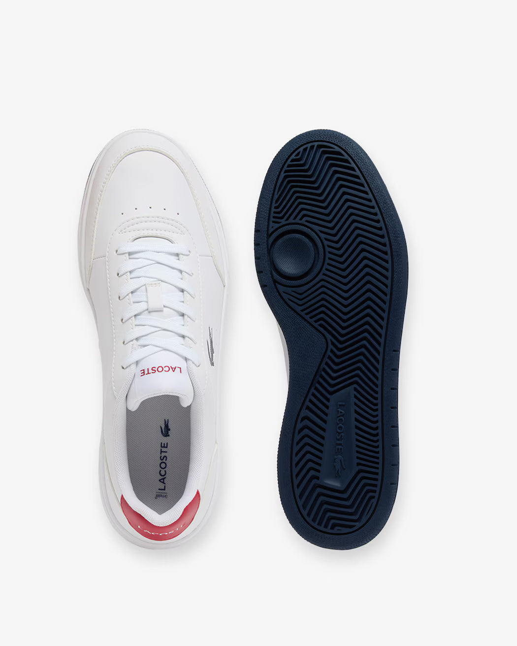 Men's Lacoste Court Pro - White / Navy / Red