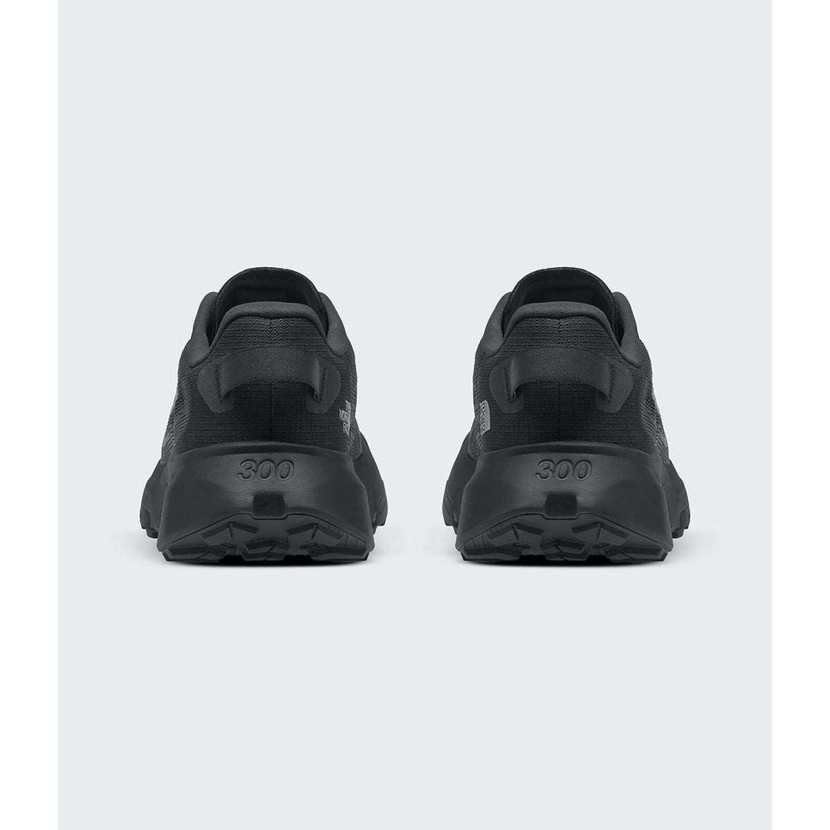 Men's The North Face Altamesa 300 V2 - Black