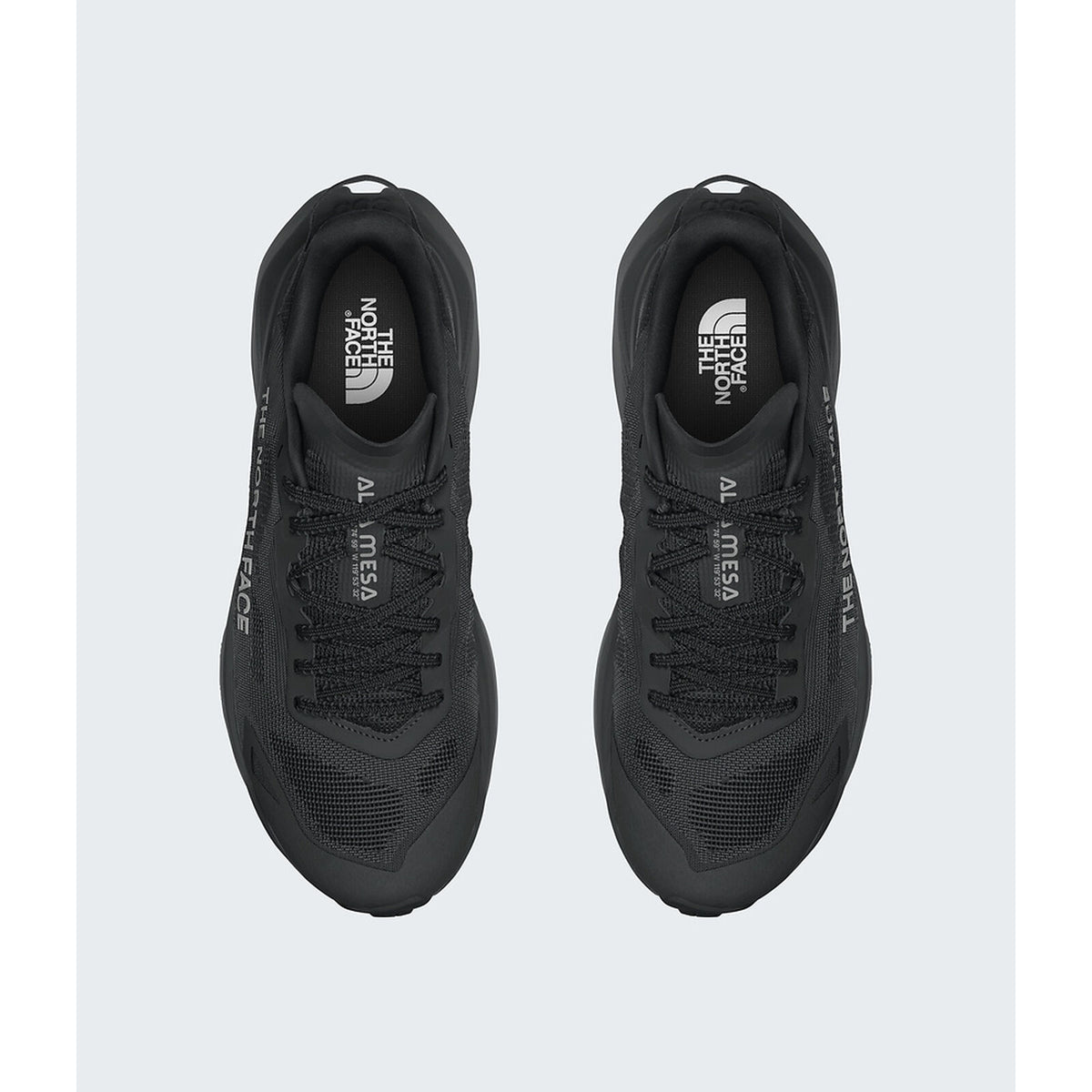 Men's The North Face Altamesa 300 V2 - Black