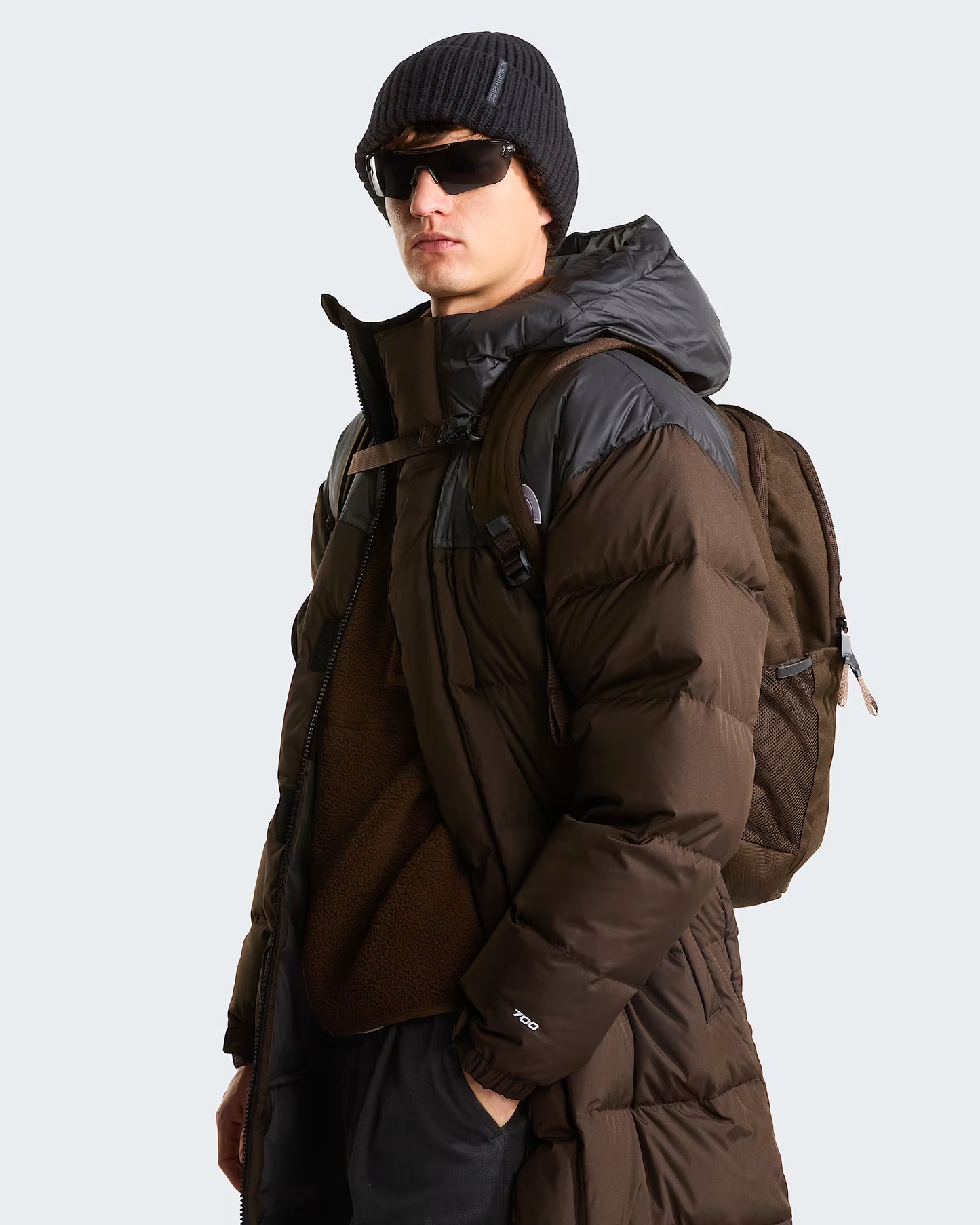 The North Face Vault Backpack - Dark Chestnut/Garnet