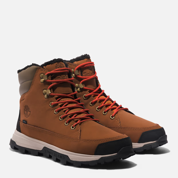 Men's Timberland Treeline Waterproof Boot